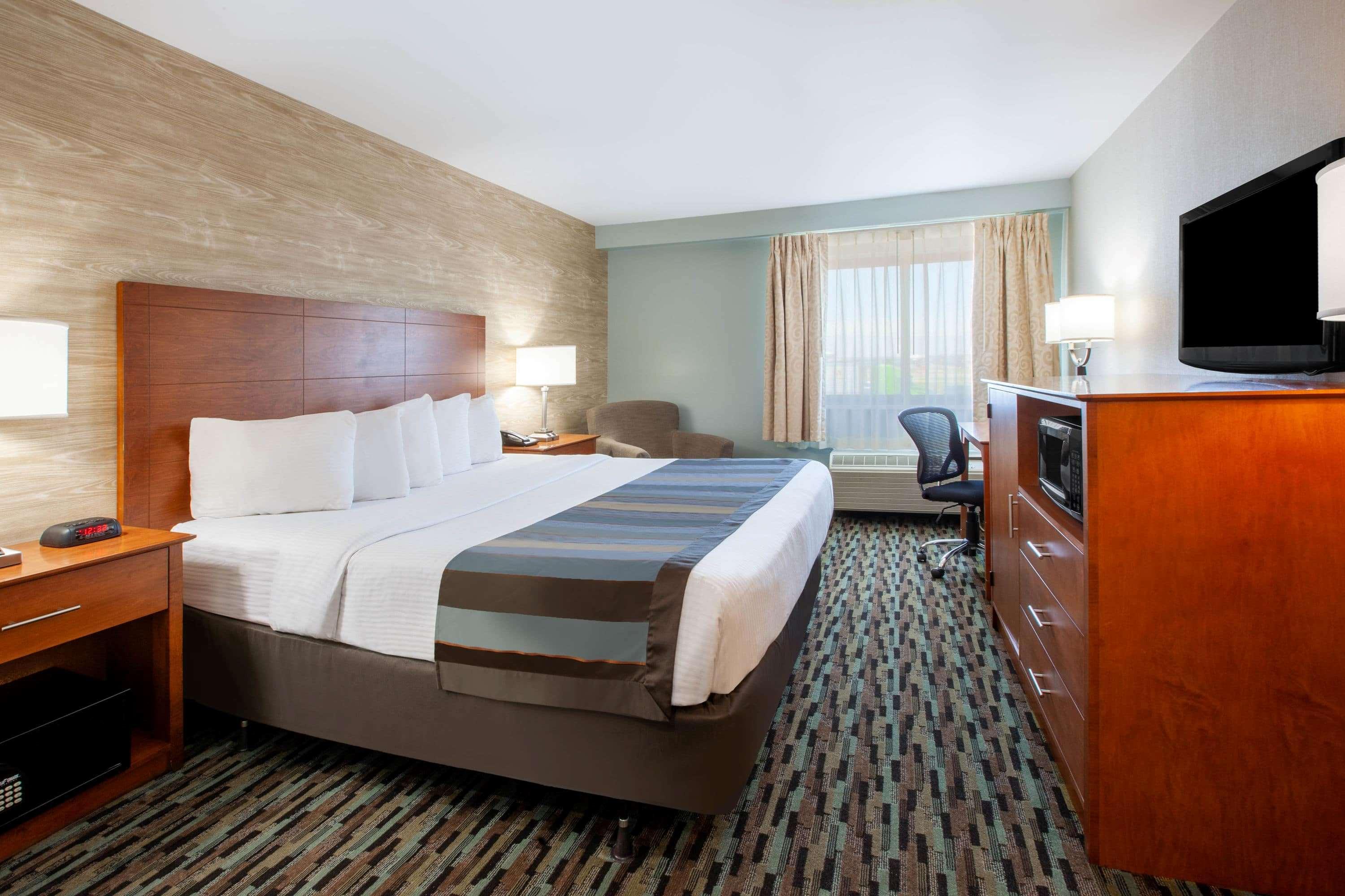 Wingate By Wyndham Detroit Metro Airport Hotel Romulus Buitenkant foto